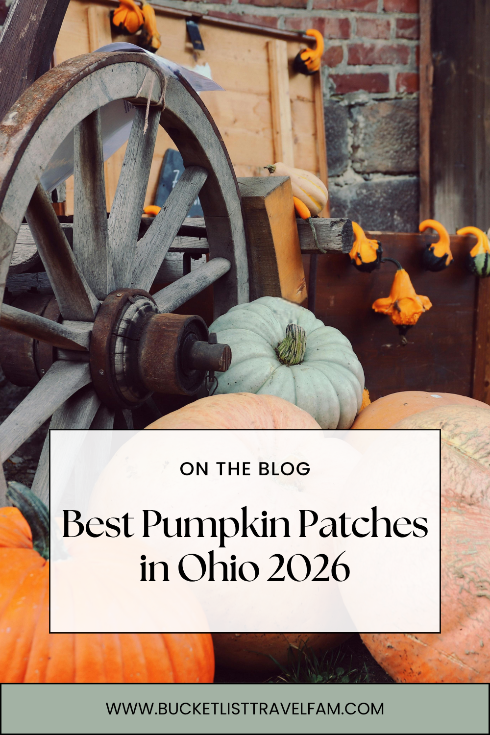 Best Pumpkin Patches in Ohio 2026: From Simple Patches to Full Fall Festivals