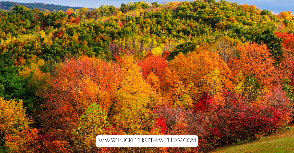 Hocking Hills in the Fall: Trails, Tips, and What Our Community Loves Most